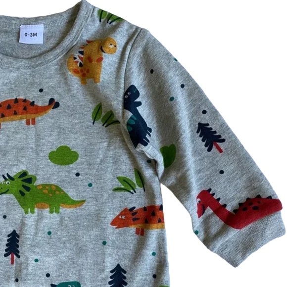 Gray Dinosaur Print Jumpsuit Size Newborn - 3 Months - Picture 4 of 9